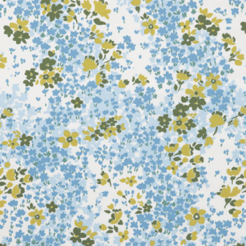 Color C1