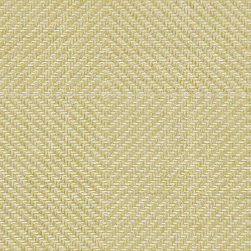 Color C2