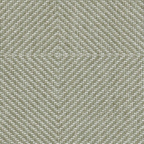 Color C3
