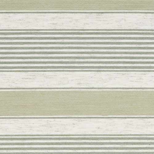 Color C1