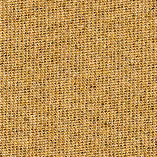 Color C5